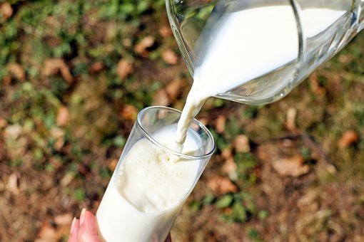 ホエイプロテインは牛乳に含まれるタンパク質から抽出